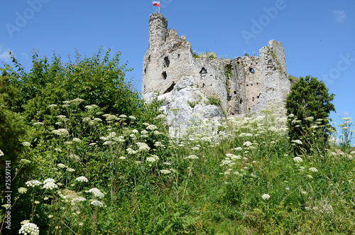 Castle in Poland (Mirów)