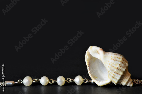 Shell with white pearls isolated on black, macro detail