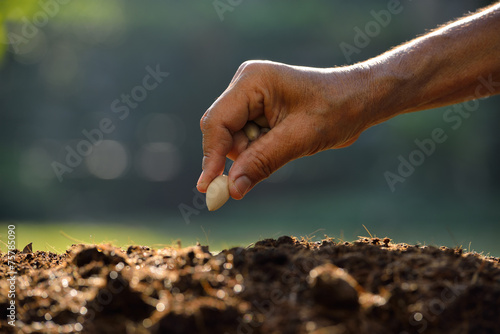 Farmer's hand planting a seed in soil