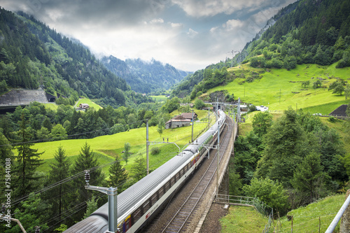 Modern train in Swiss Alps