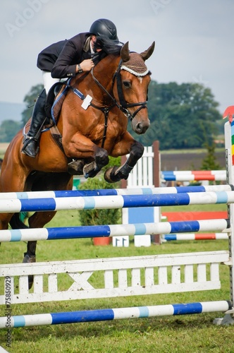 Reitsport - Hindernisreiten, Pferd und Reiter beim Absprung