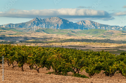 Countryside near Logrono