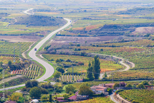 Countryside with vineyards near Laguardia village
