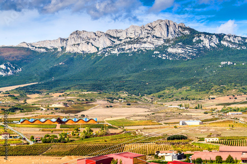 Countryside with vineyards near Laguardia village