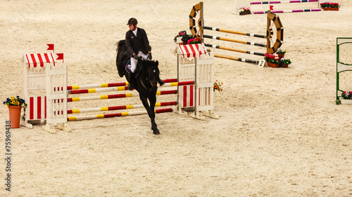 Equitation. show jumping, horse and rider over jump