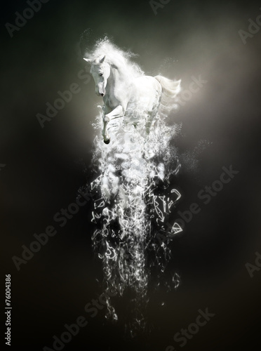 White horse running, abstract animal concept