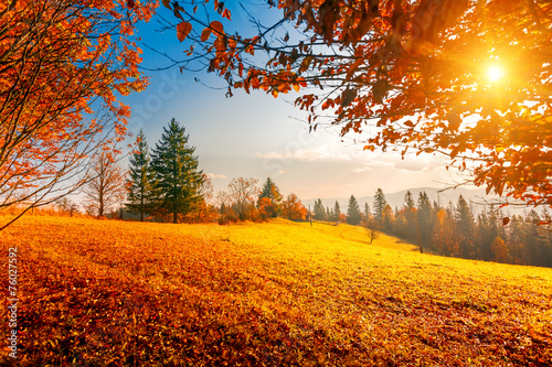 Colorful autumn landscape