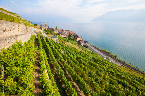 Lavaux vineyards on the shore of lake Geneva