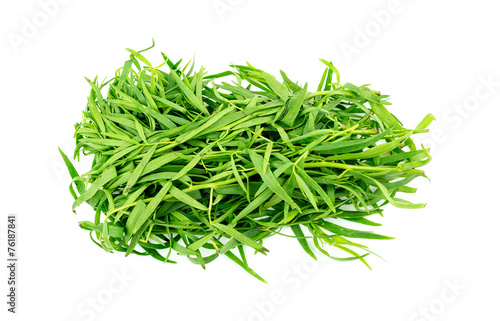 Bunch of tarragon herb leaves isolated on white
