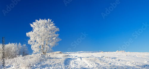 winter landscape a panorama with the blue sky, a field and the o