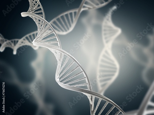 DNA molecules