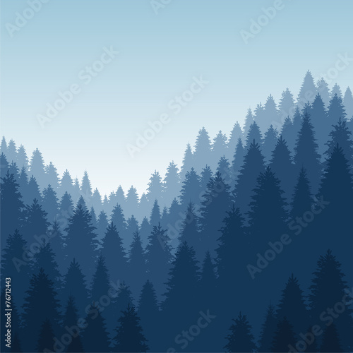 vector landscape with forest