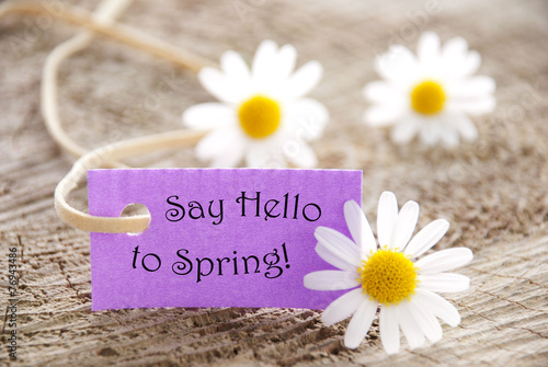 Purple Label Quote Say Hello To Spring And Marguerite Blossoms