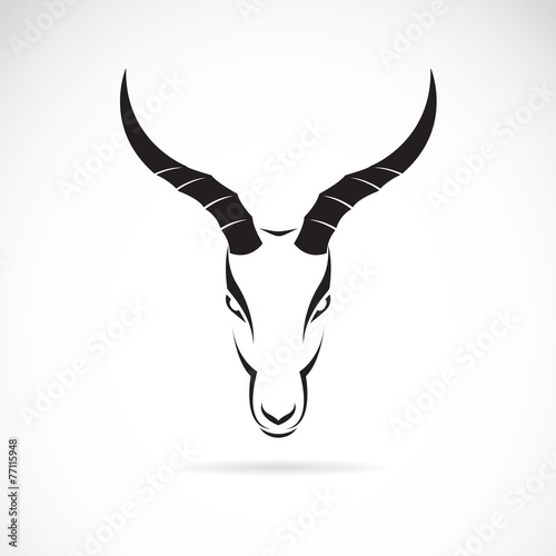 Vector image of an deer head (impala) on white background.