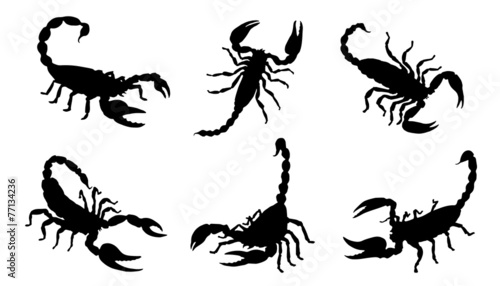 scorpion silhouettes