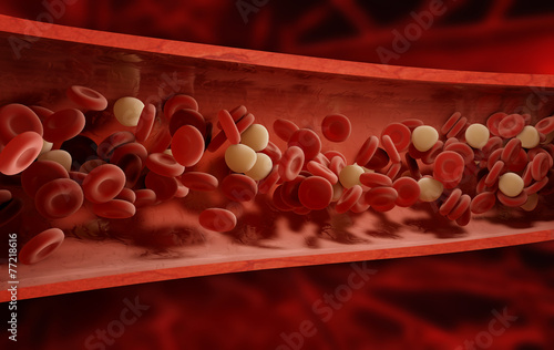 blood cells