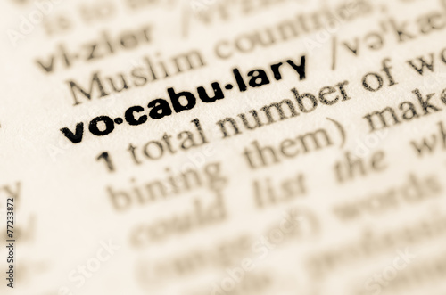 Dictionary definition of word vocabulary