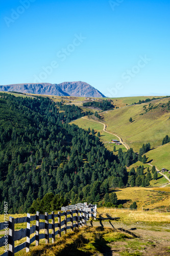 Latzfonser Alm