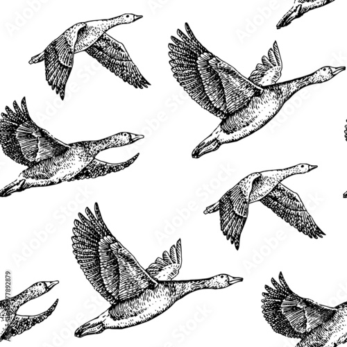 flying geese