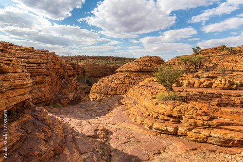 Kings canyon