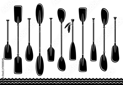 paddle set. Vector