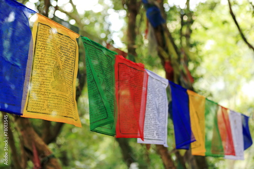 Buddhist prayer flags. T.T.Yangtse monastery-Nepal. 1006