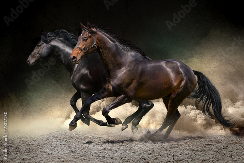 Horses gallop in desert