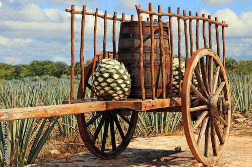 Old mexican trailer