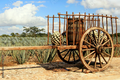 Old mexican trailer