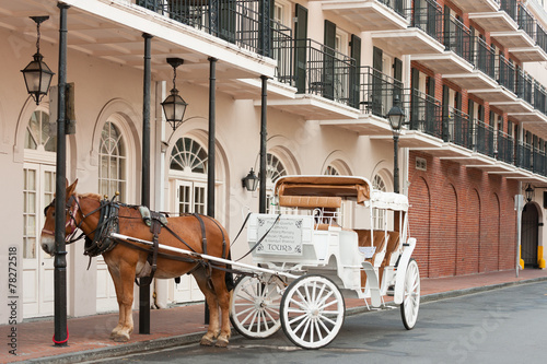 Elegant horse-drawn carriage in French Quarter, New Orleans