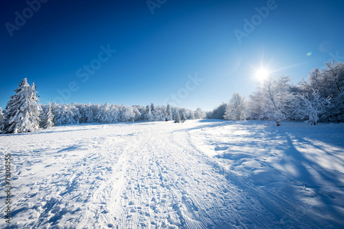 Paysage de neige