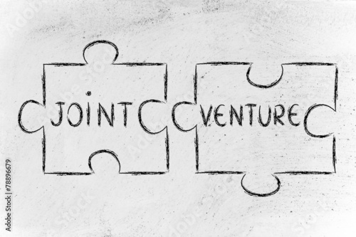 jigsaw puzzle with the words Joint Venture