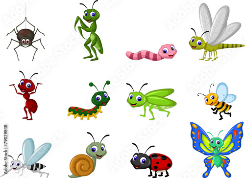 insect cartoon collection