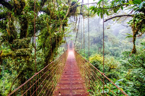 Bridge in Rainforest - Costa Rica - Monteverde