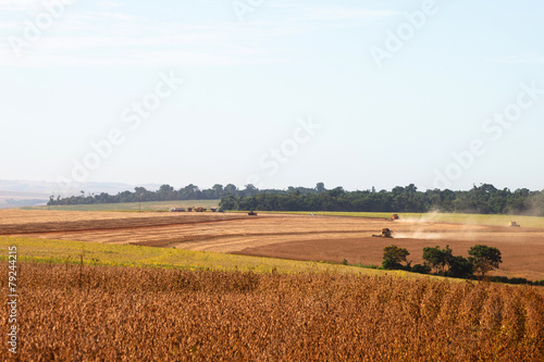 Soybean crop being harvested .