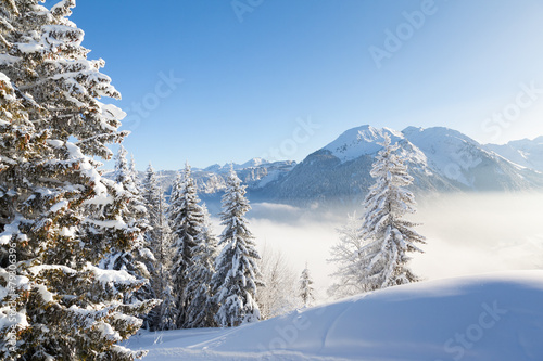 Winter Alpine View