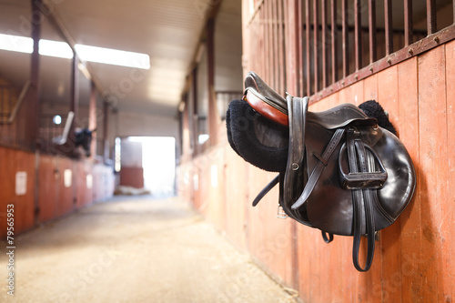 Leather saddle horse