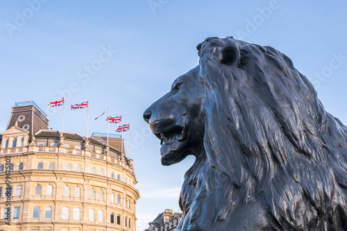 Trafalgar Square lion