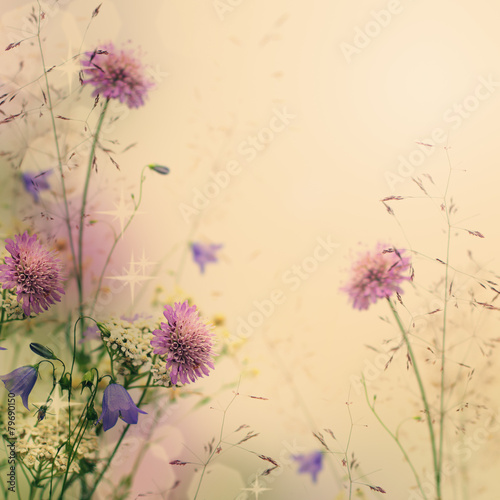 Gentle color floral background with flowers