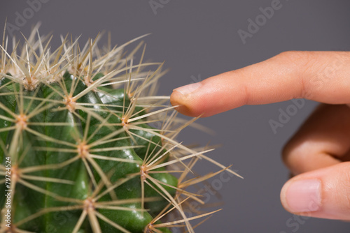 Touching cactus