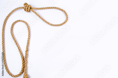 Hanging noose on white background