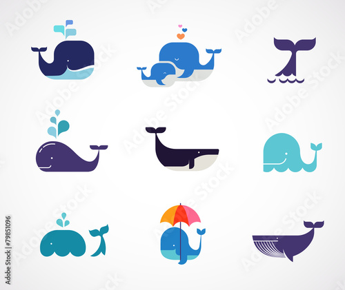 Collection of vector whale icons