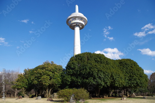 公園の木々と放送塔