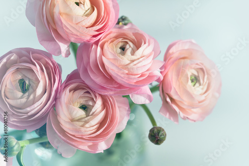 Bouquet of pink ranunculus in vase