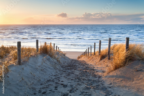 sand path to North sea coast at sunset