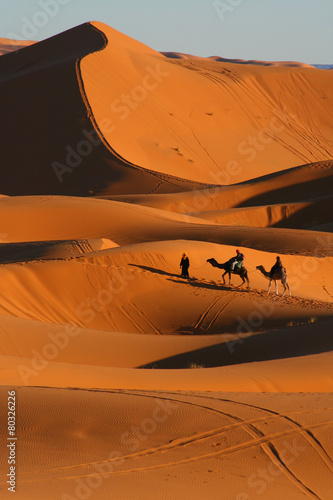balade en dromadaire dans le désert de Merzouga
