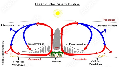 Die tropische Passatzirkulation