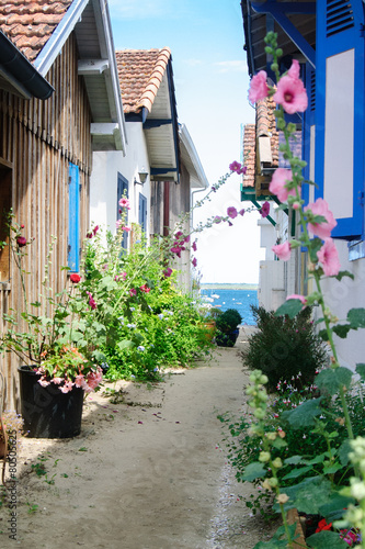 Alley in the bassin of arcachon in France with wooden houses looking at sea flowered with hollycocks