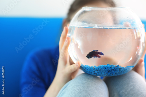 Bojownik, mała niebieska rybka
