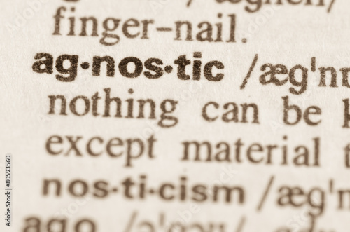 Dictionary definition of word agnostic